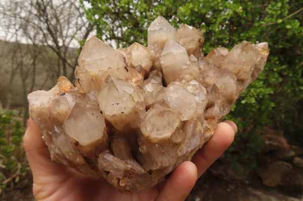 Natural Smokey Quartz Cluster x 1 From Congo - Toprock Gemstones and Minerals 
