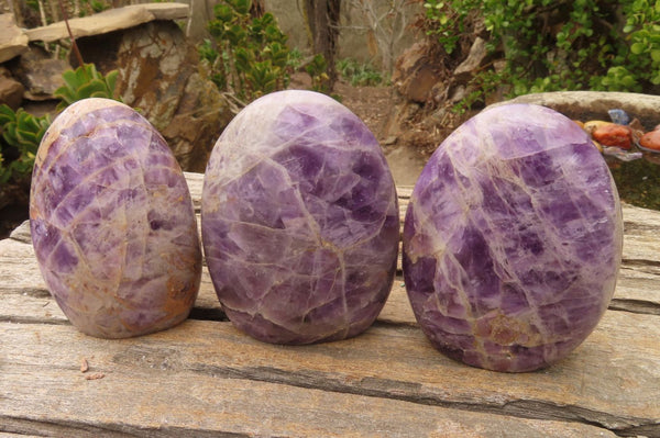Polished Dream Amethyst Standing Free Forms x 6 From Madagascar