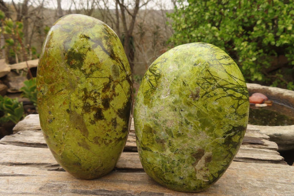 Polished Green Opal Standing Free Forms  x 2 From Madagascar - Toprock Gemstones and Minerals 