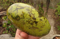 Polished Green Opal Standing Free Forms  x 2 From Madagascar - Toprock Gemstones and Minerals 