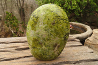 Polished Green Opal Standing Free Forms  x 2 From Madagascar - Toprock Gemstones and Minerals 