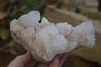 Natural Spirit Quartz Specimens  x 3 From South Africa - Toprock Gemstones and Minerals 
