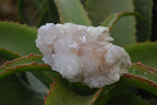 Natural Spirit Quartz Specimens  x 3 From South Africa - Toprock Gemstones and Minerals 