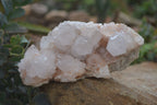 Natural Spirit Quartz Specimens  x 3 From South Africa - Toprock Gemstones and Minerals 