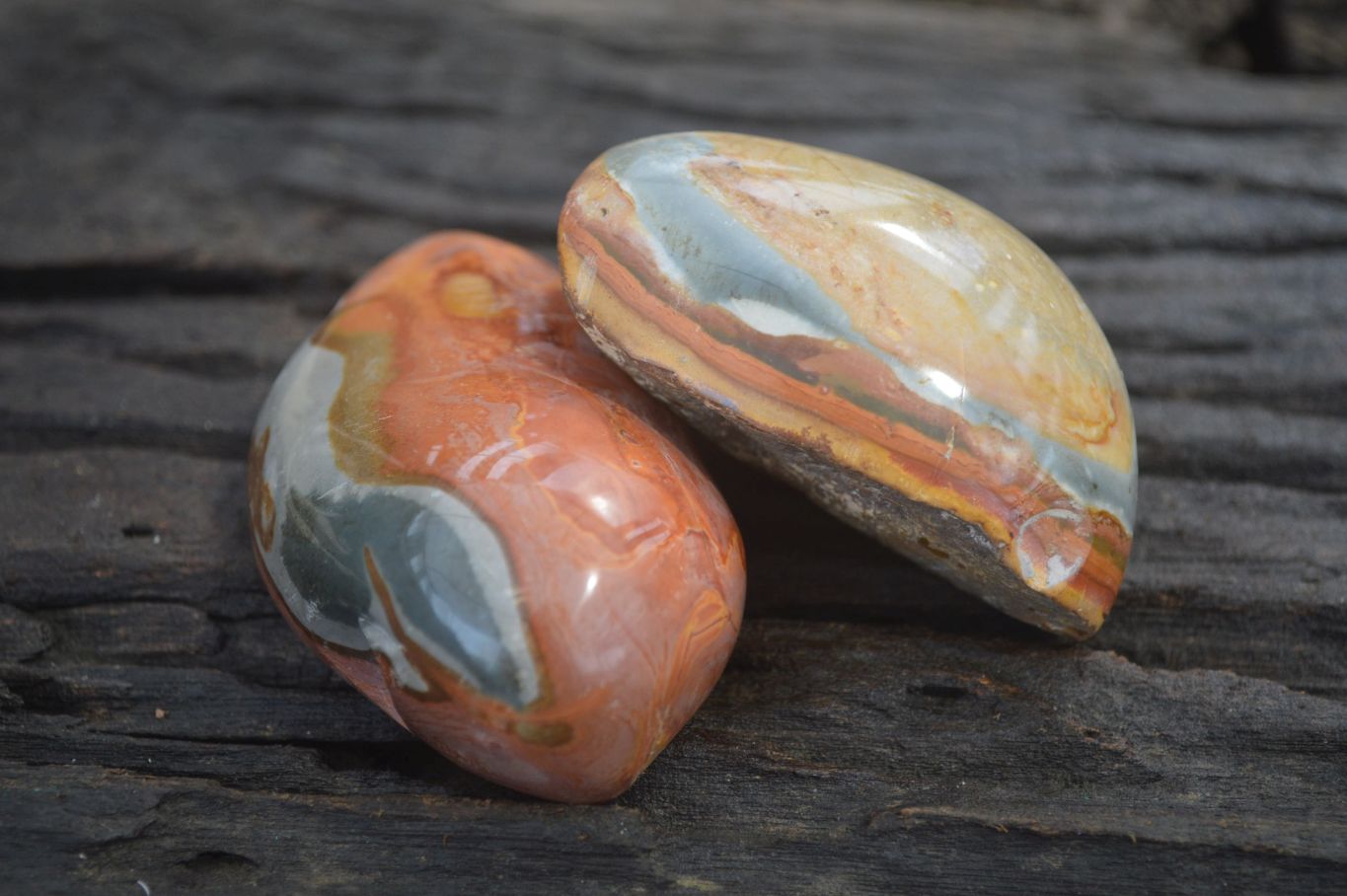 Polished One Side Polished Polychrome Jasper Nodules  x 6 From Madagascar - Toprock Gemstones and Minerals 