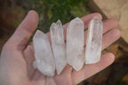 Natural Clear Quartz Crystals  x 35 From Madagascar - Toprock Gemstones and Minerals 