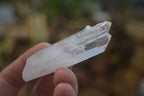 Natural Clear Quartz Crystals  x 35 From Madagascar - Toprock Gemstones and Minerals 