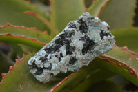 Natural Drusy Chrysocolla & Malachite Dolomite Specimens  x 6 From Congo