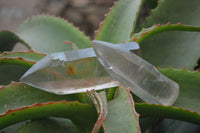 Natural Clear Smokey Quartz Crystals x 12 From Zimbabwe - Toprock Gemstones and Minerals 