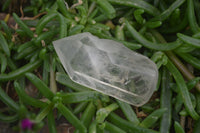 Natural Clear Smokey Quartz Crystals x 12 From Zimbabwe - Toprock Gemstones and Minerals 
