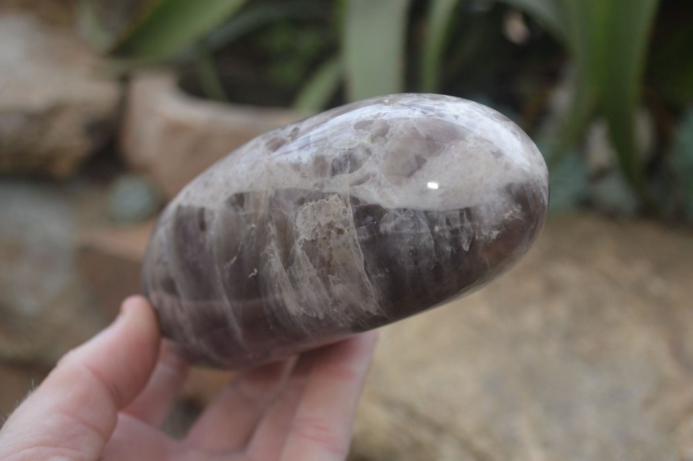 Polished Smokey Dream Amethyst Standing Free Forms x 2 From Madagascar - Toprock Gemstones and Minerals 