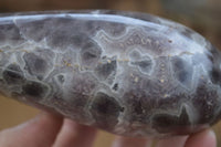 Polished Smokey Dream Amethyst Standing Free Forms x 2 From Madagascar