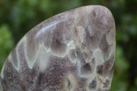 Polished Smokey Dream Amethyst Standing Free Forms x 2 From Madagascar