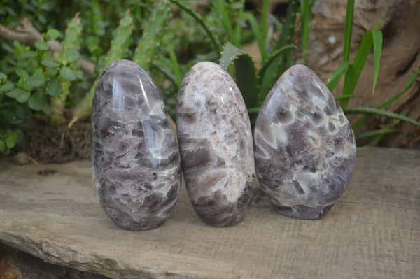 Polished Smokey Dream Amethyst Standing Free Forms x 2 From Madagascar