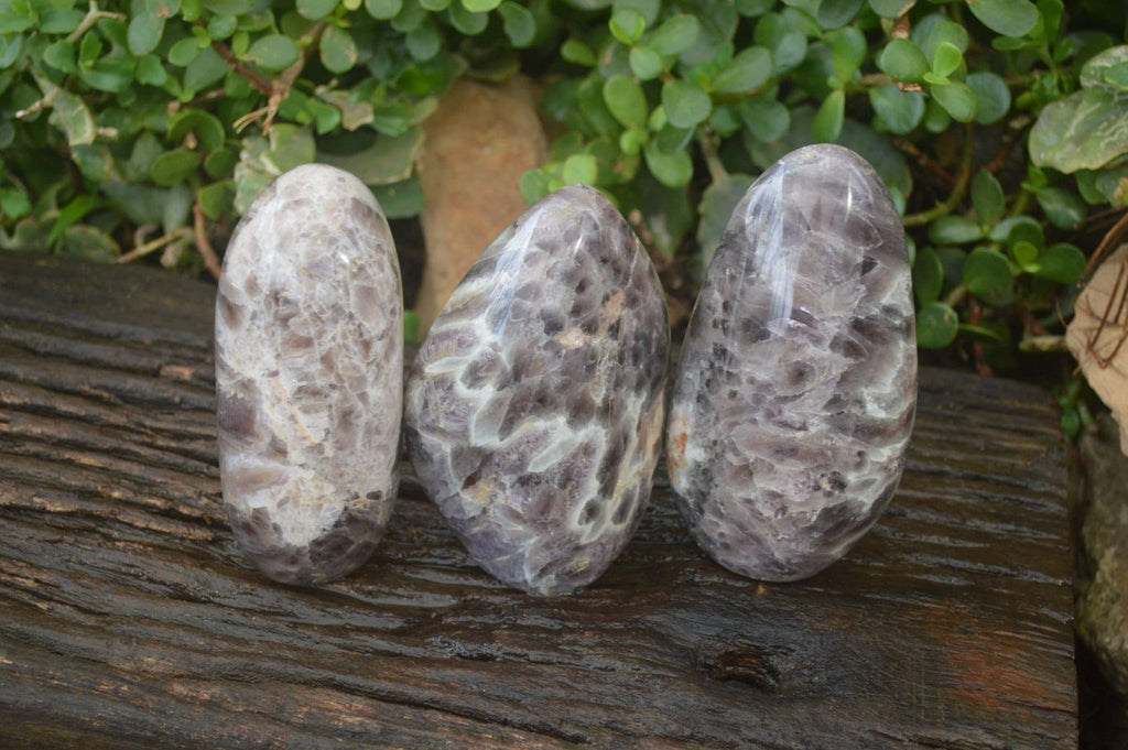 Polished Smokey Dream Amethyst Standing Free Forms x 2 From Madagascar - Toprock Gemstones and Minerals 