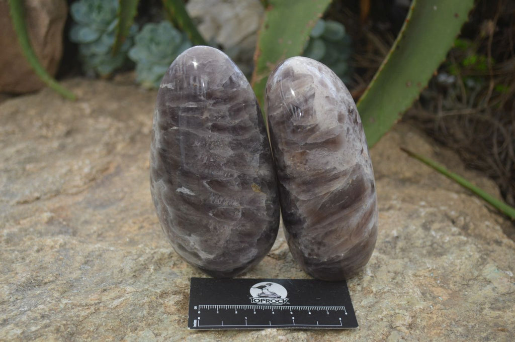 Polished Smokey Dream Amethyst Standing Free Forms x 2 From Madagascar - Toprock Gemstones and Minerals 