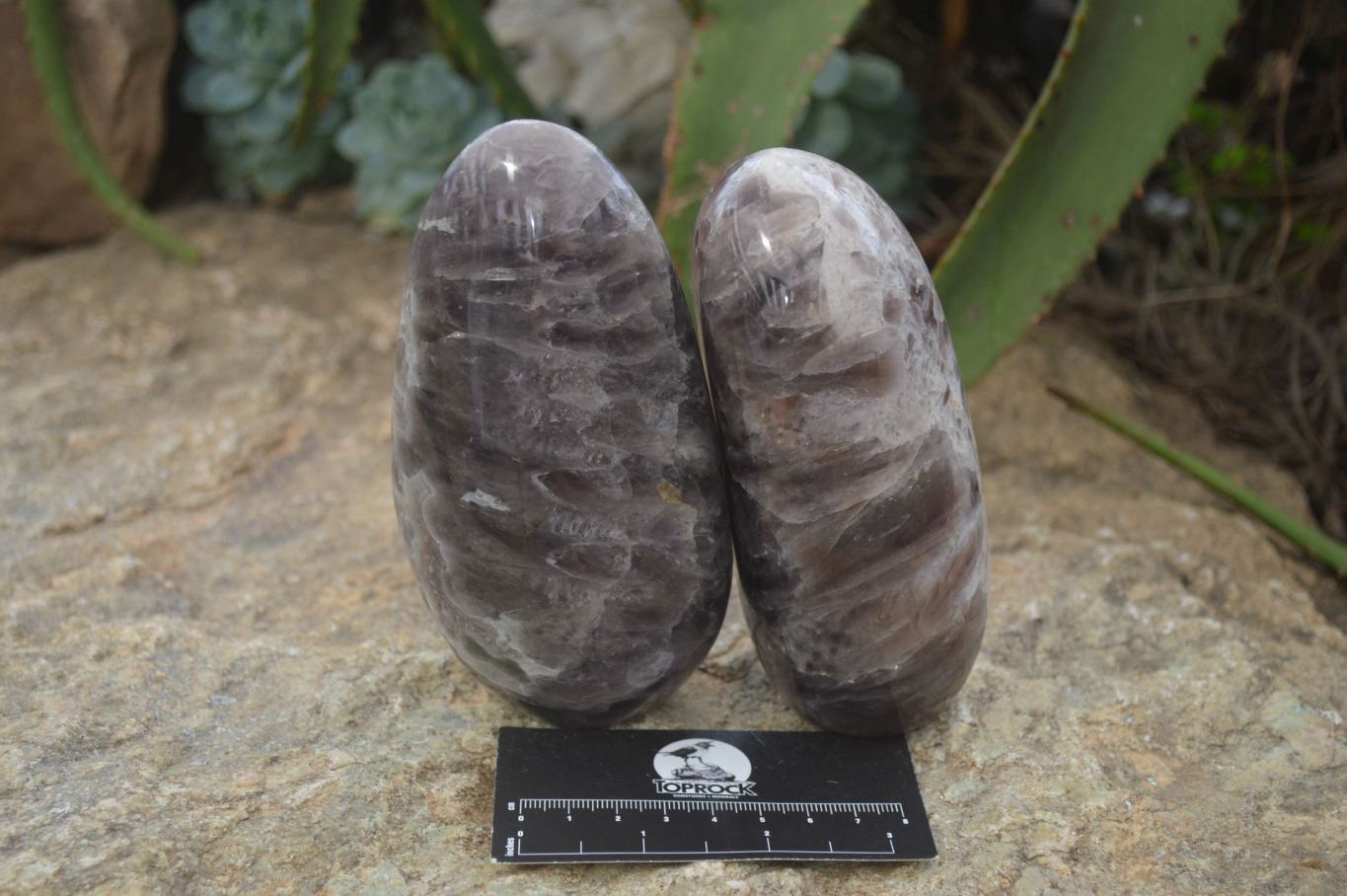 Polished Smokey Dream Amethyst Standing Free Forms x 2 From Madagascar - Toprock Gemstones and Minerals 