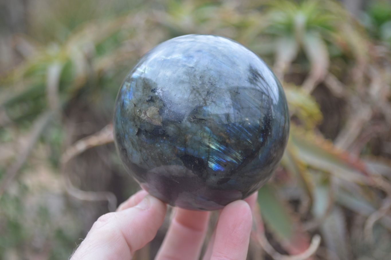 Polished Labradorite Spheres  x 2 From Madagascar - Toprock Gemstones and Minerals 