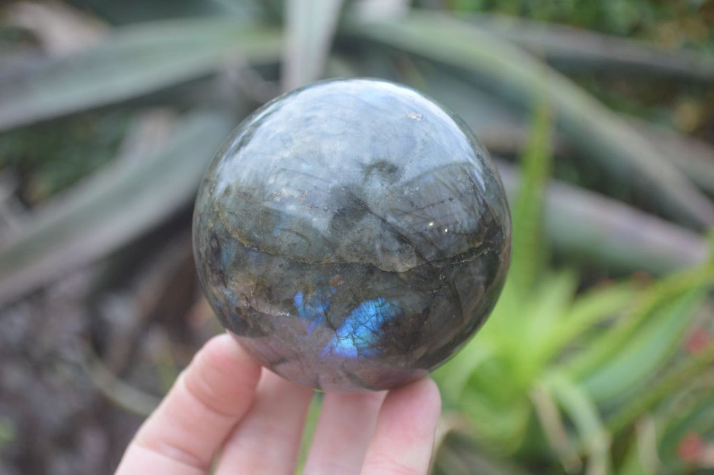 Polished Labradorite Spheres  x 2 From Madagascar - Toprock Gemstones and Minerals 
