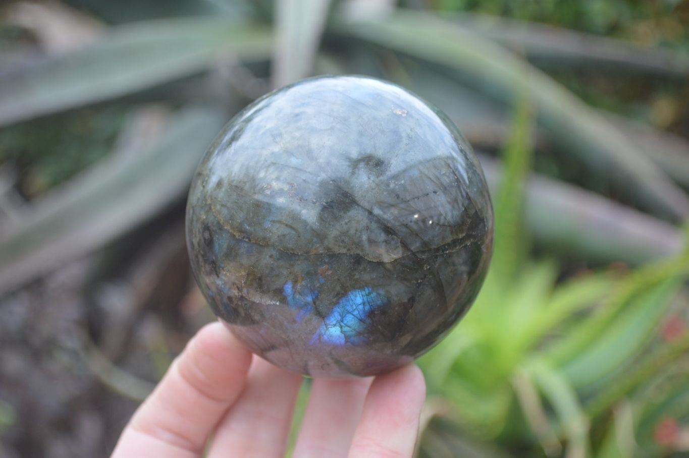 Polished Labradorite Spheres  x 2 From Madagascar - Toprock Gemstones and Minerals 