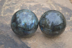 Polished Labradorite Spheres  x 2 From Madagascar - Toprock Gemstones and Minerals 