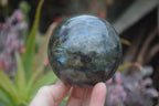 Polished Labradorite Spheres  x 2 From Madagascar - Toprock Gemstones and Minerals 