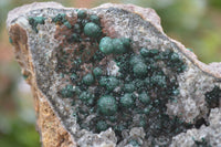 Natural Rare Ball Malachite On Drusy Quartz Dolomite Specimens x 2 From Congo - Toprock Gemstones and Minerals 