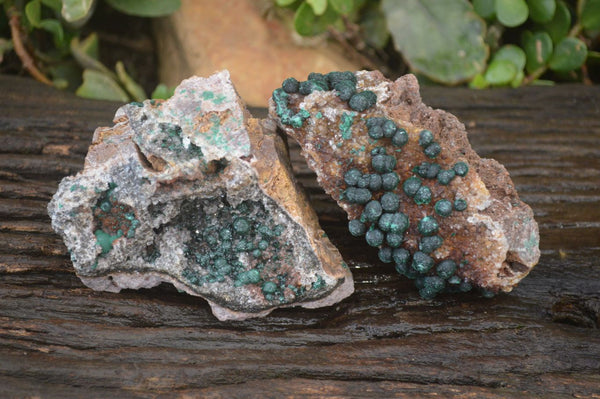 Natural Rare Ball Malachite On Drusy Quartz Dolomite Specimens x 2 From Congo - Toprock Gemstones and Minerals 