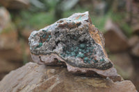 Natural Rare Ball Malachite On Drusy Quartz Dolomite Specimens x 2 From Congo - Toprock Gemstones and Minerals 