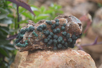 Natural Rare Ball Malachite On Drusy Quartz Dolomite Specimens x 2 From Congo - Toprock Gemstones and Minerals 