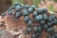 Natural Rare Ball Malachite On Drusy Quartz Dolomite Specimens x 2 From Congo - Toprock Gemstones and Minerals 
