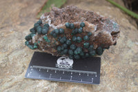 Natural Rare Ball Malachite On Drusy Quartz Dolomite Specimens x 2 From Congo - Toprock Gemstones and Minerals 