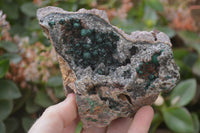 Natural Rare Ball Malachite On Drusy Quartz Dolomite Specimens x 2 From Congo - Toprock Gemstones and Minerals 
