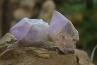 Polished Jacaranda Amethyst Crystals x 20 From Zambia - Toprock Gemstones and Minerals 