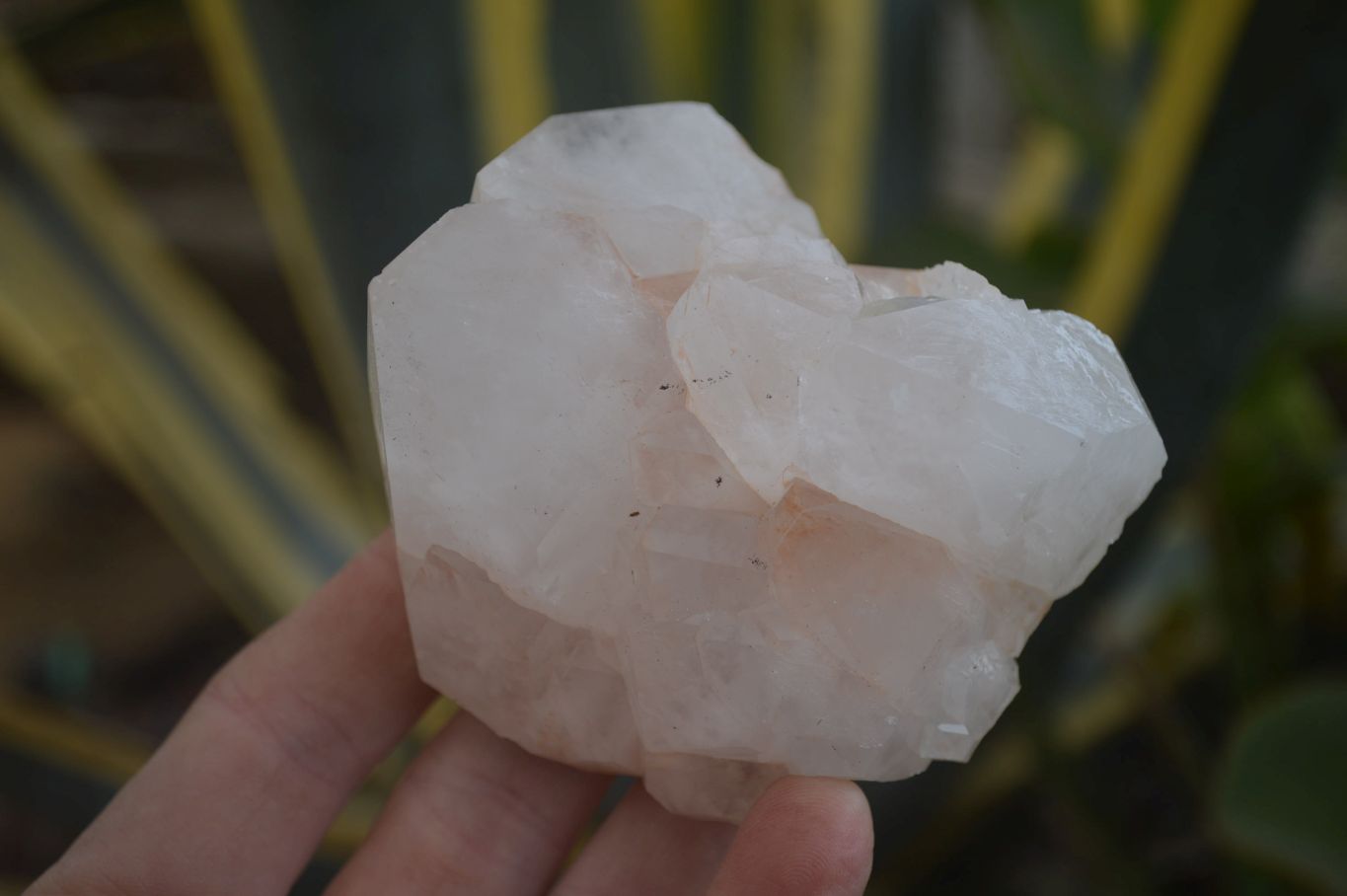 Natural Cascading Candle Quartz Crystal Specimens x 12 From Madagascar - Toprock Gemstones and Minerals 