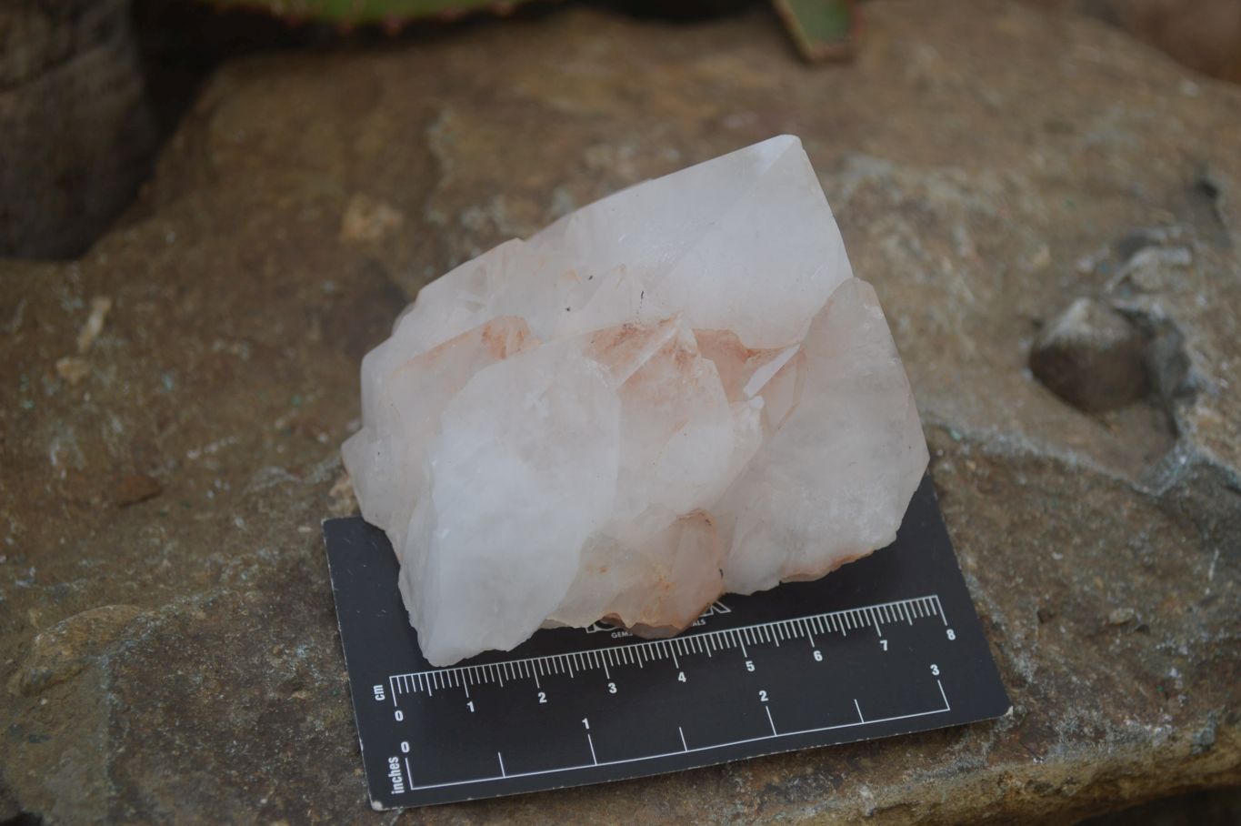 Natural Cascading Candle Quartz Crystal Specimens x 12 From Madagascar - Toprock Gemstones and Minerals 