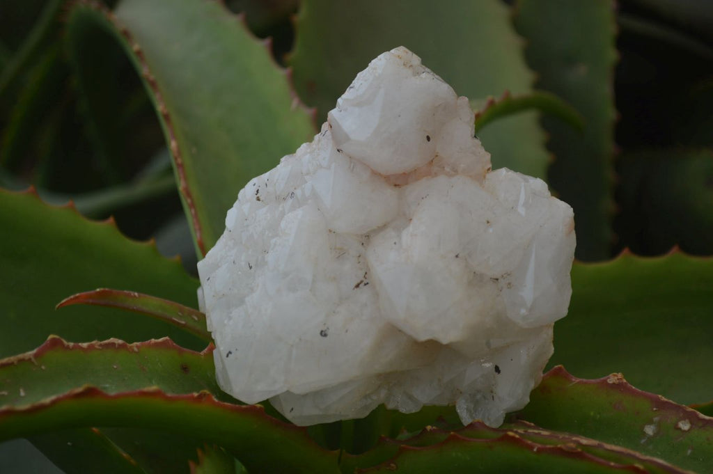 Natural Cascading Candle Quartz Crystal Specimens x 12 From Madagascar - Toprock Gemstones and Minerals 