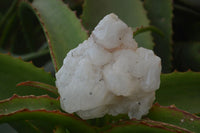 Natural Cascading Candle Quartz Crystal Specimens x 12 From Madagascar - Toprock Gemstones and Minerals 