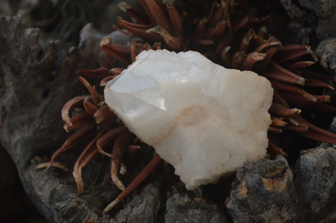 Natural Cascading Candle Quartz Crystal Specimens x 12 From Madagascar - Toprock Gemstones and Minerals 