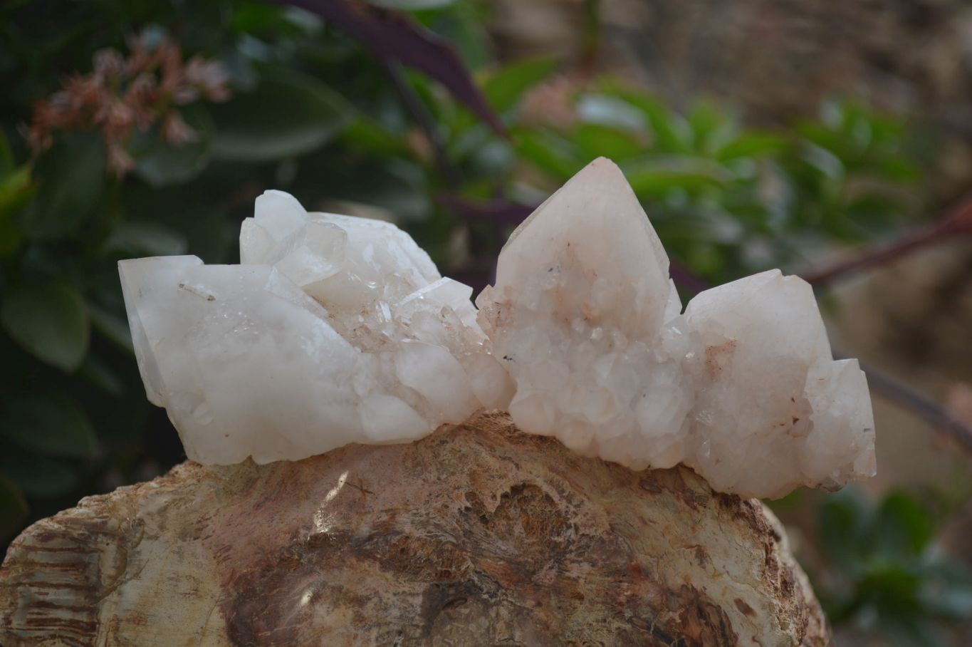 Natural Cascading Candle Quartz Crystal Specimens x 12 From Madagascar - Toprock Gemstones and Minerals 