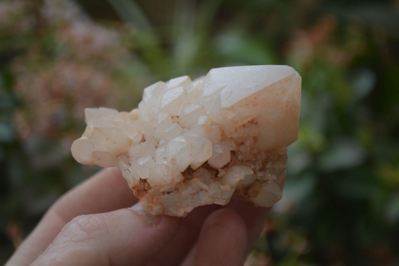 Natural Cascading Candle Quartz Crystal Specimens x 12 From Madagascar - Toprock Gemstones and Minerals 