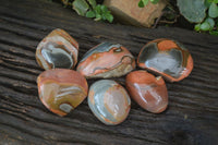 Polished One Side Polished Polychrome Jasper Nodules  x 6 From Madagascar - Toprock Gemstones and Minerals 