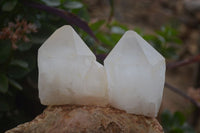 Natural Castle Quartz Specimens x 12 From Madagascar - Toprock Gemstones and Minerals 