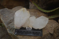 Natural Castle Quartz Specimens x 12 From Madagascar - Toprock Gemstones and Minerals 
