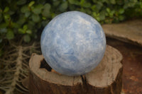 Polished Blue Calcite Sphere  x 1 From Madagascar - Toprock Gemstones and Minerals 