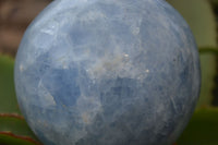 Polished Blue Calcite Sphere  x 1 From Madagascar - Toprock Gemstones and Minerals 