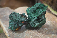 Natural Chatoyant Silky Malachite Specimens  x 12 From Congo - Toprock Gemstones and Minerals 