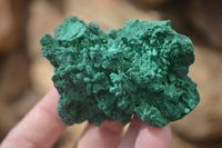 Natural Chatoyant Silky Malachite Specimens  x 12 From Congo - Toprock Gemstones and Minerals 