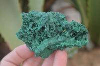 Natural Chatoyant Silky Malachite Specimens  x 12 From Congo - Toprock Gemstones and Minerals 