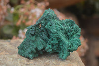 Natural Chatoyant Silky Malachite Specimens  x 12 From Congo - Toprock Gemstones and Minerals 